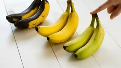 Banaanit eri kypsyysvaiheissa valkoisella taustalla